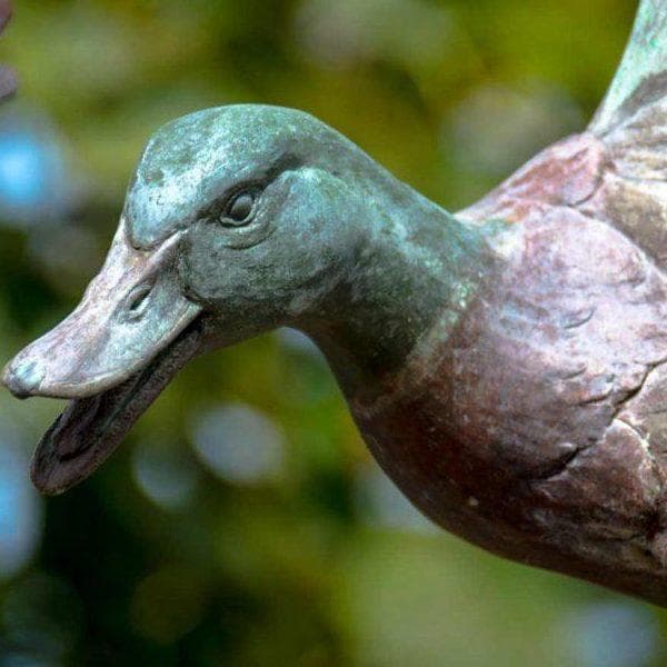 Close Up of Sculptured Mallard Head