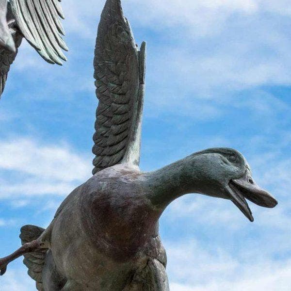 Sculptured Mallard Duck Flying